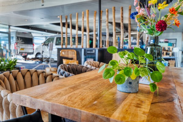 Westfalia Campercentrum Barneveld